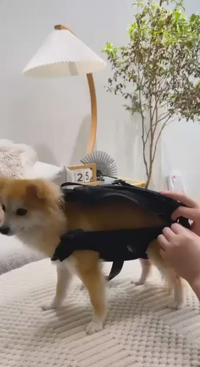 Pet Carrier Bag